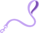 Leash